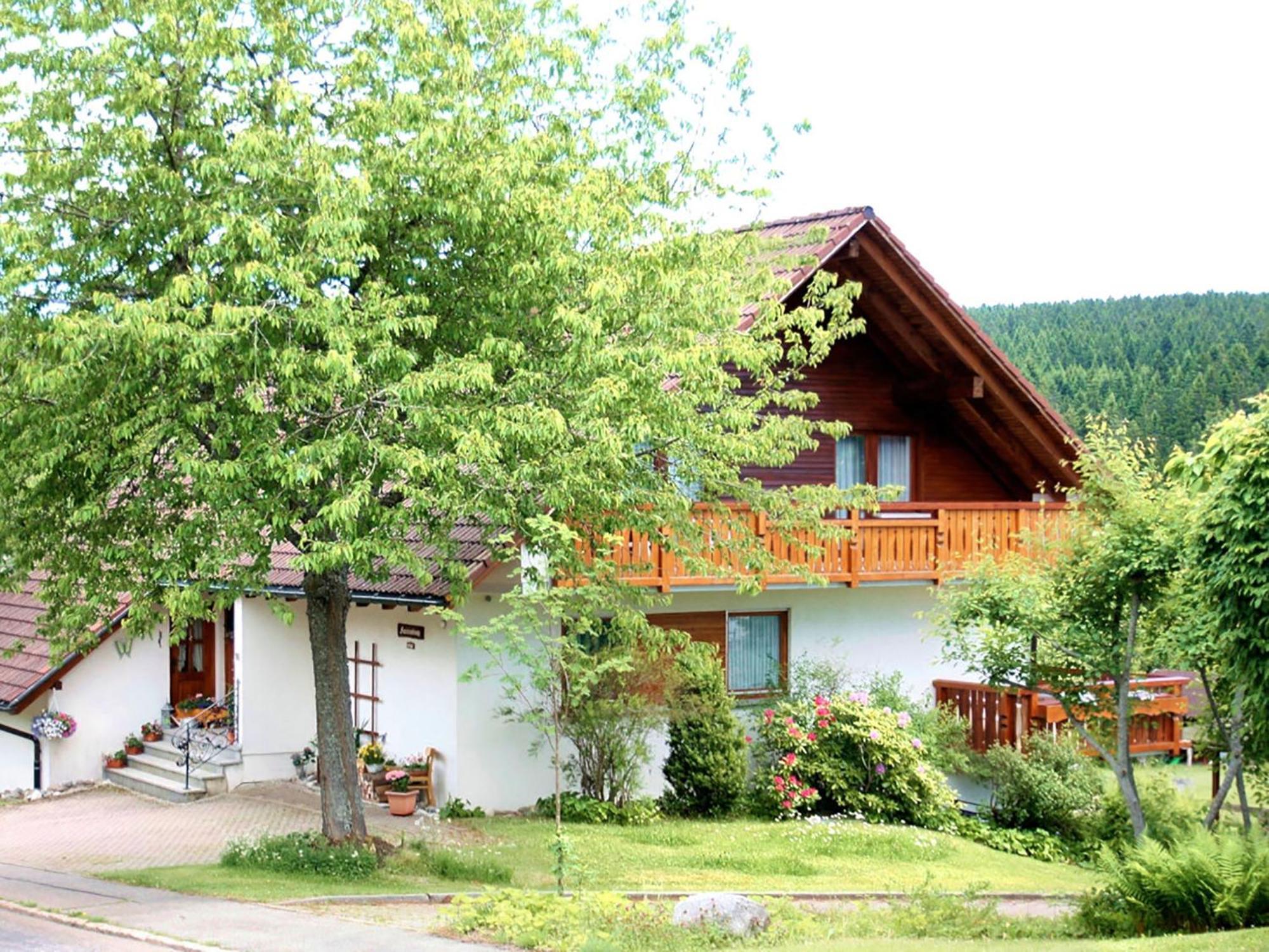 Haus Doerflinger Frau Marianne Schluchsee Exterior foto